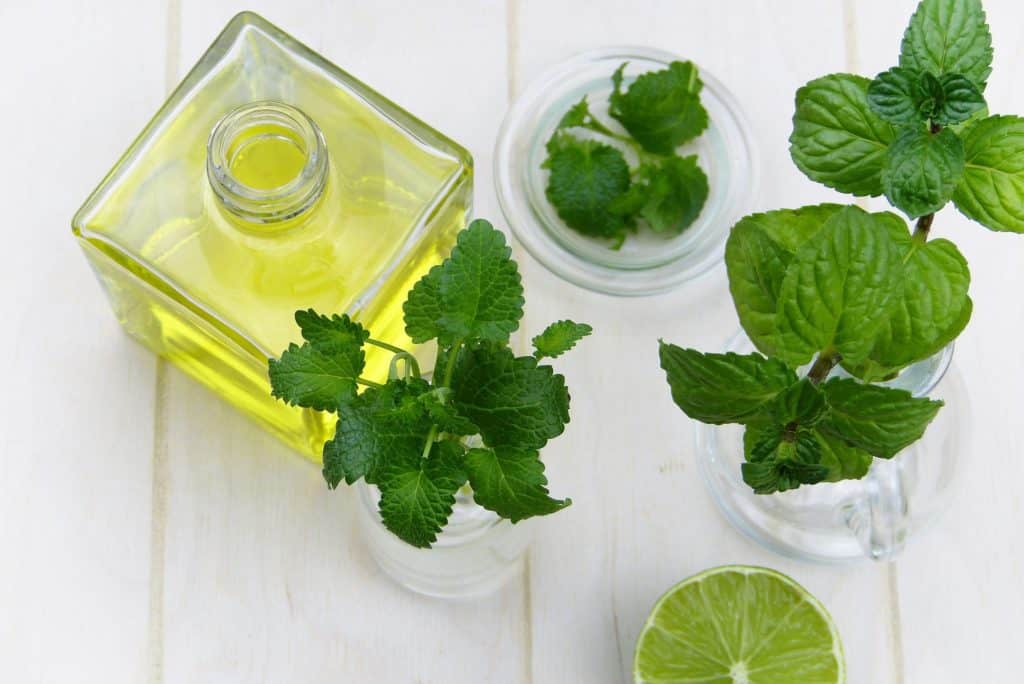 Oregano oil for good health