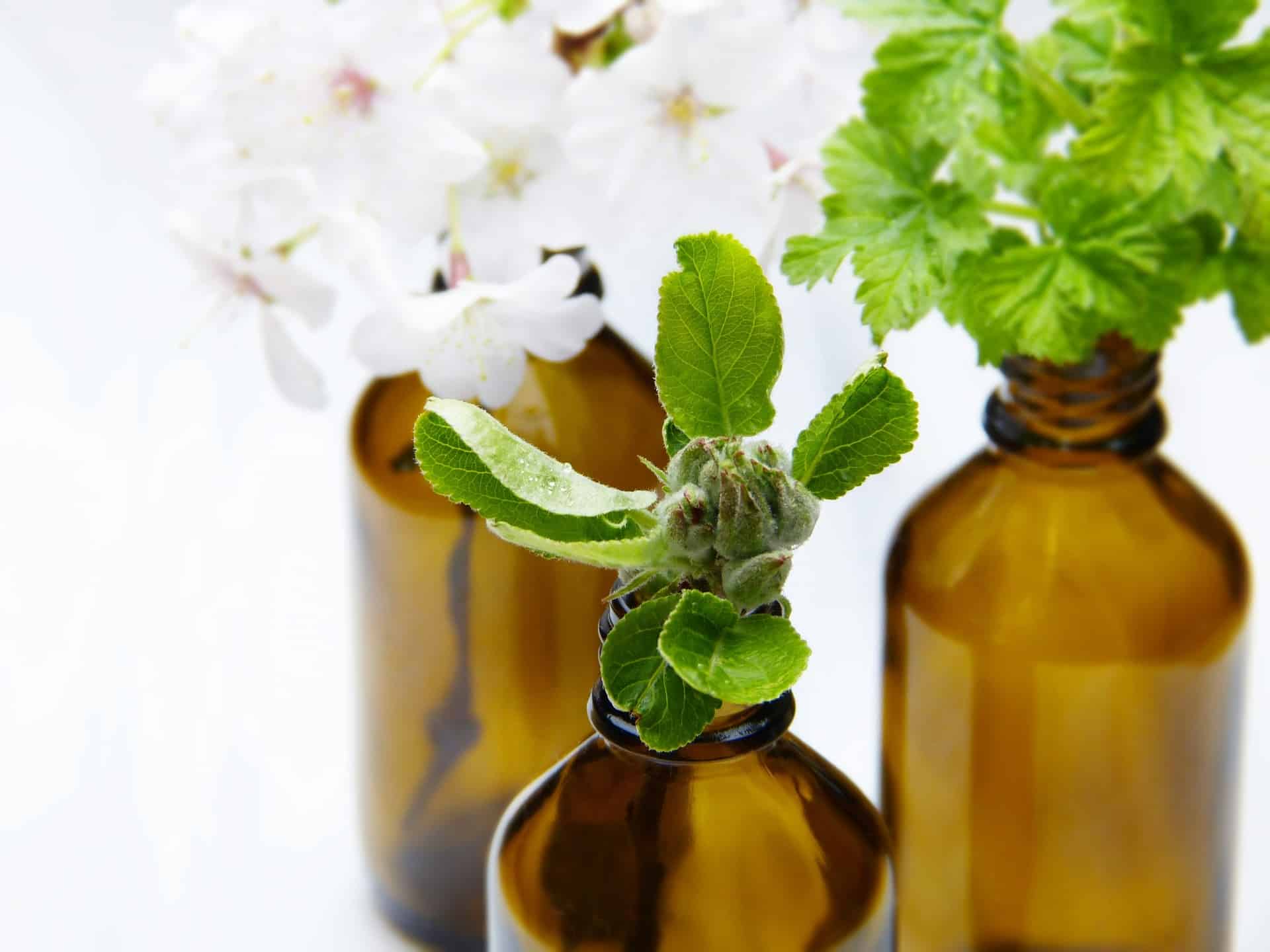 Can You Take Oregano Oil Daily?