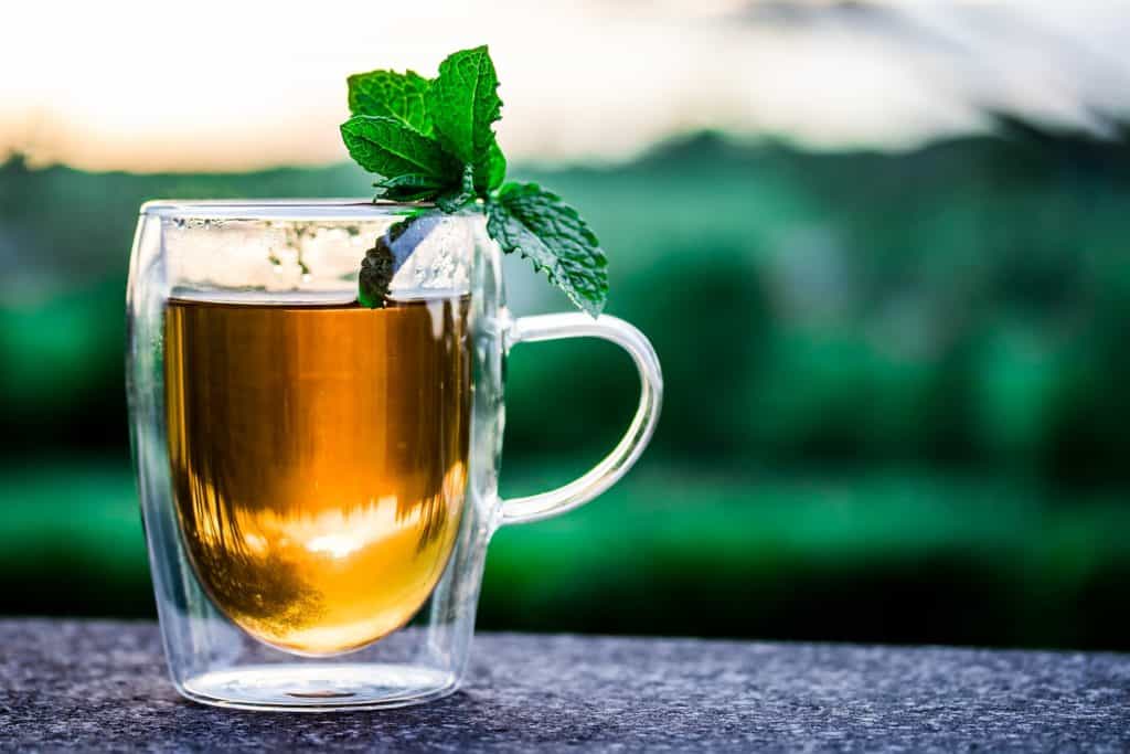 Oregano tea