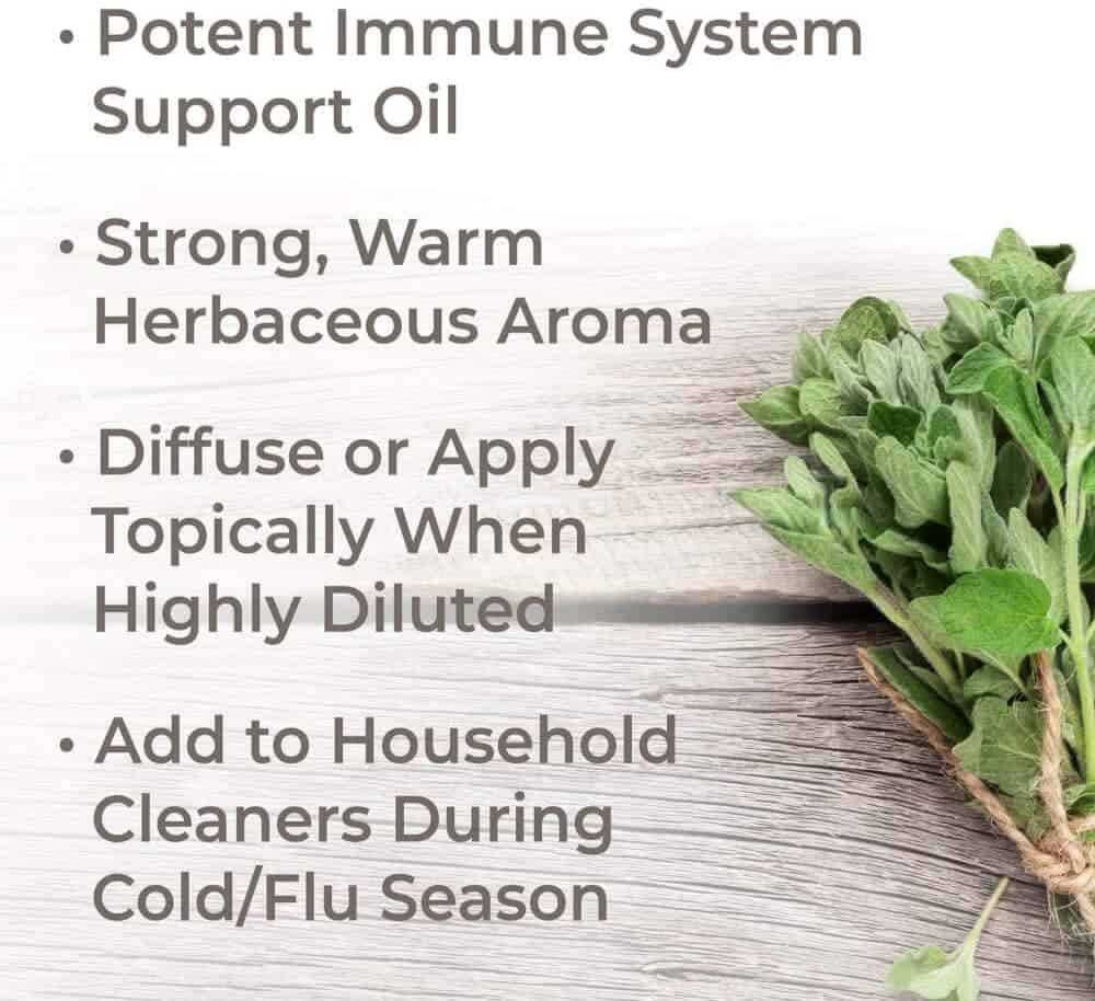 Oregano essential oil by plant therapy