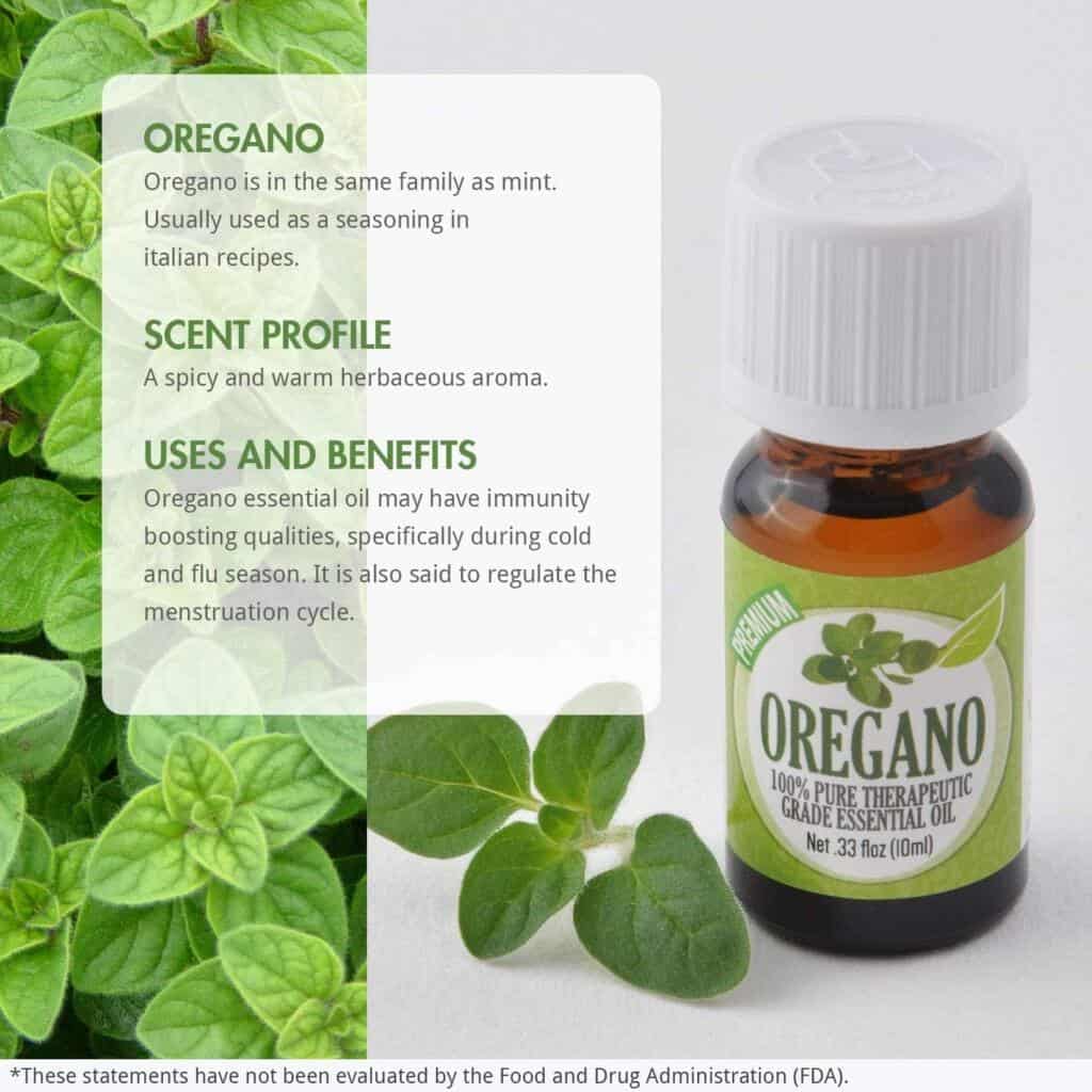 oregano essential oil by healing solutions